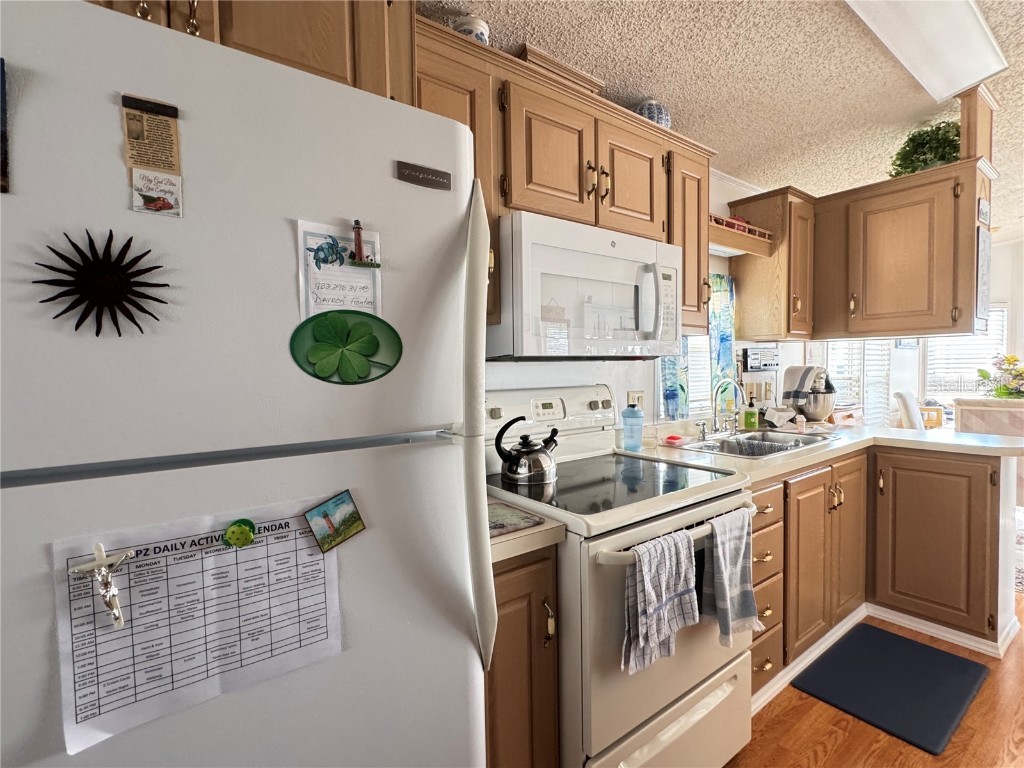 35109 Garber Lane #LOT 176 Zephyrhills FL 33541 - LAKE LEHIGH TB8452197 image11