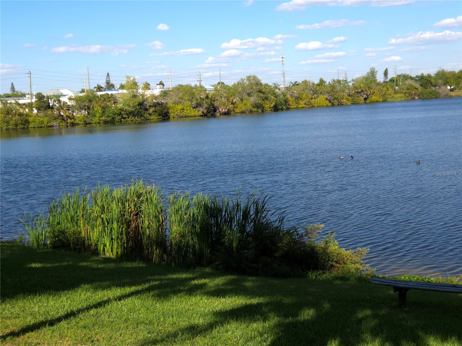 3511 45th Ter W #108 Bradenton FL 34210 A4687094 image8