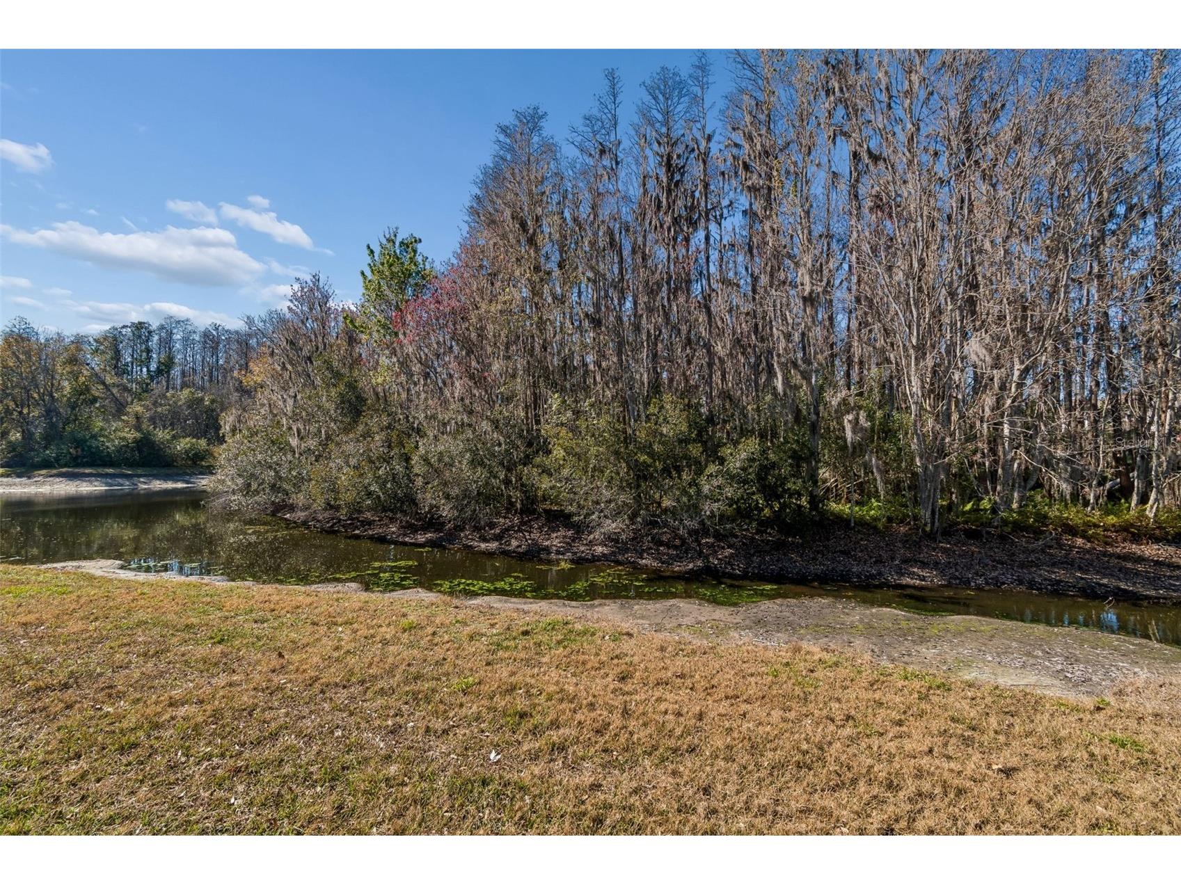 3511 Ballastone Drive Land O Lakes FL 34638 TB8477020 image79