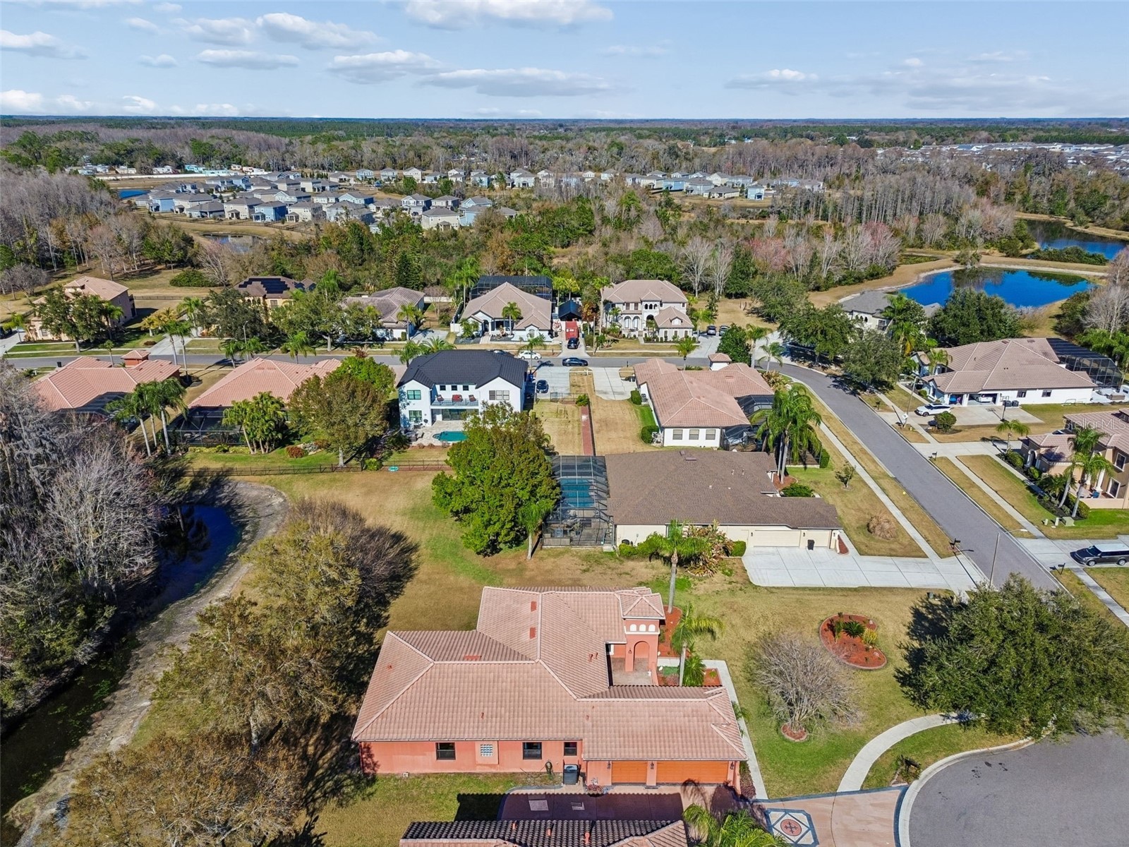3511 Ballastone Drive Land O Lakes FL 34638 TB8477020 image89