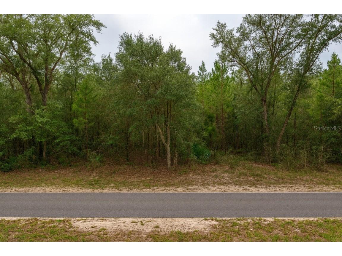 3511 E Jaclyn Lane Inverness FL 34453 O6366244 image1