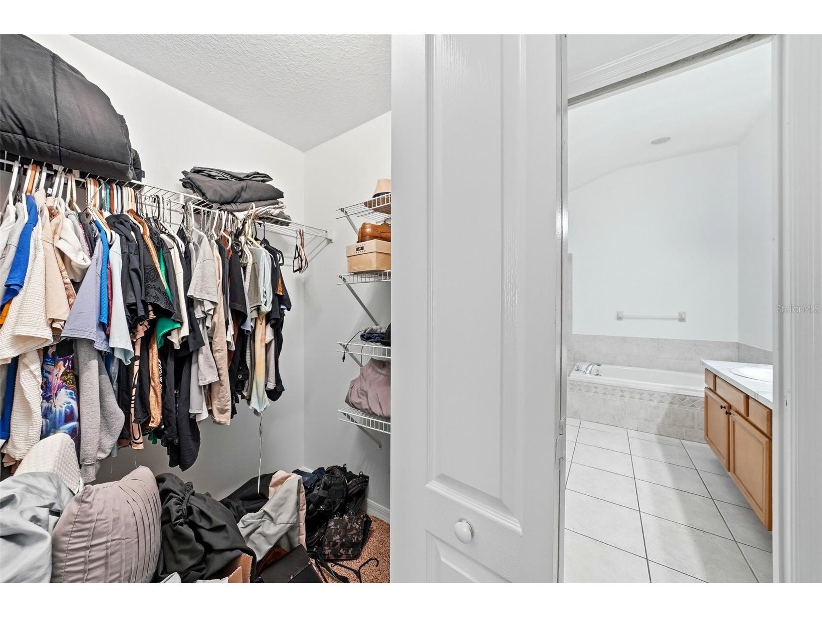 3511 Gray Whetstone Street Brandon FL 33511 TB8506807 image28
