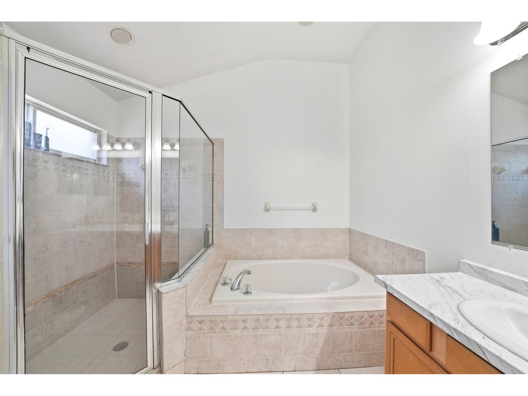 3511 Gray Whetstone Street Brandon FL 33511 TB8506807 image31