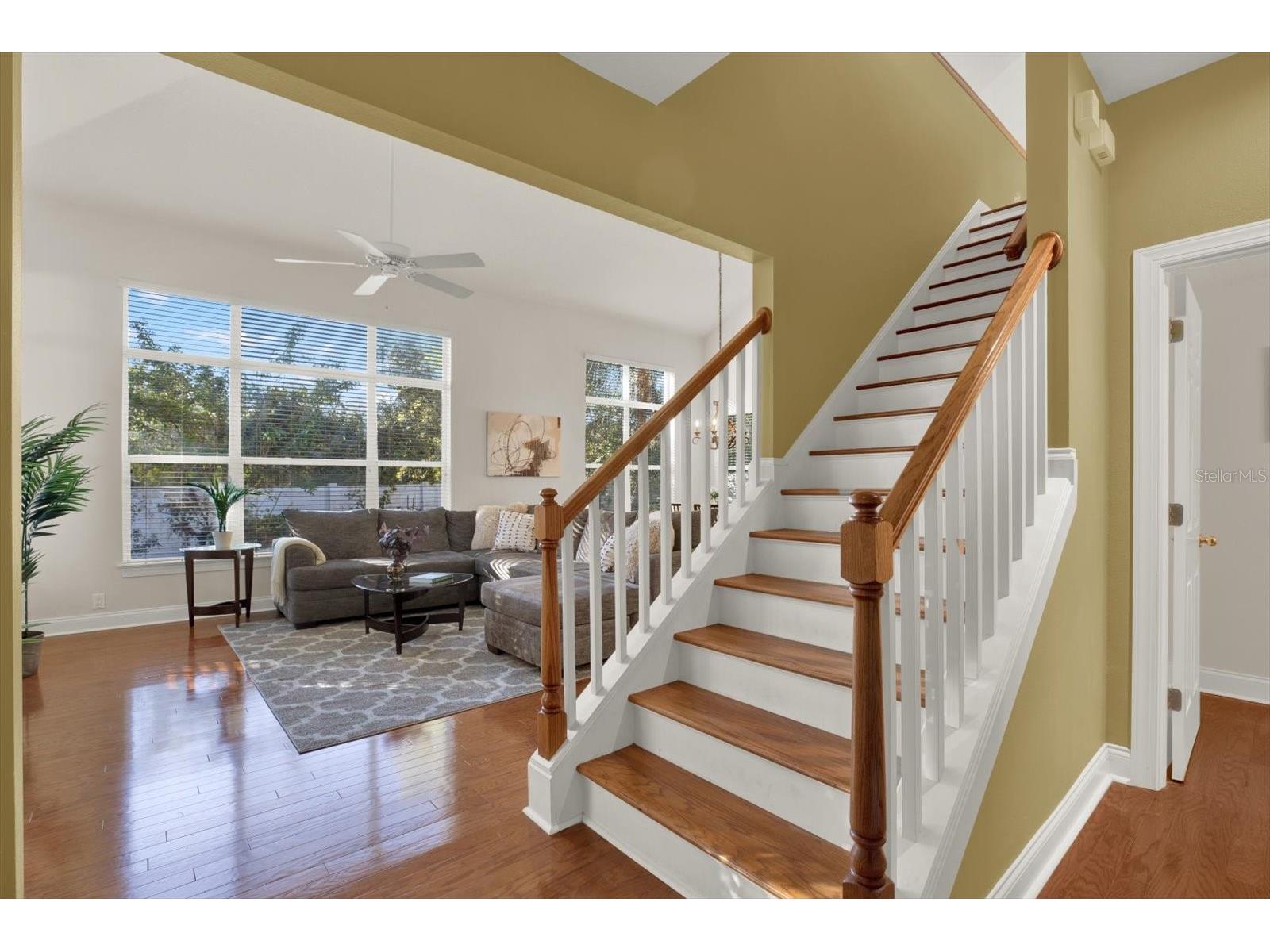 3511 Heards Ferry Drive Tampa FL 33618 - Lake Ellen TB8467617 image24