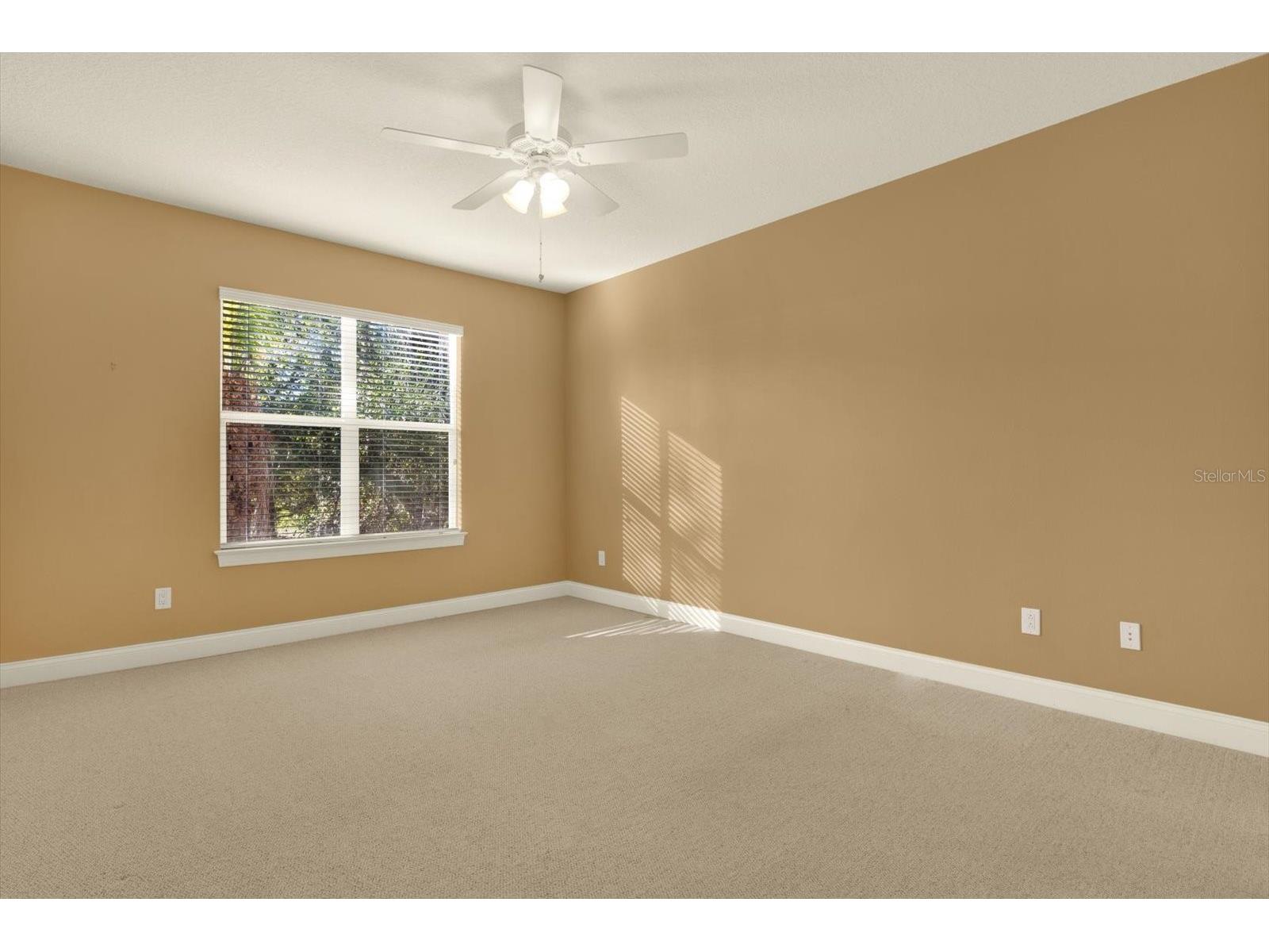 3511 Heards Ferry Drive Tampa FL 33618 - Lake Ellen TB8467617 image38
