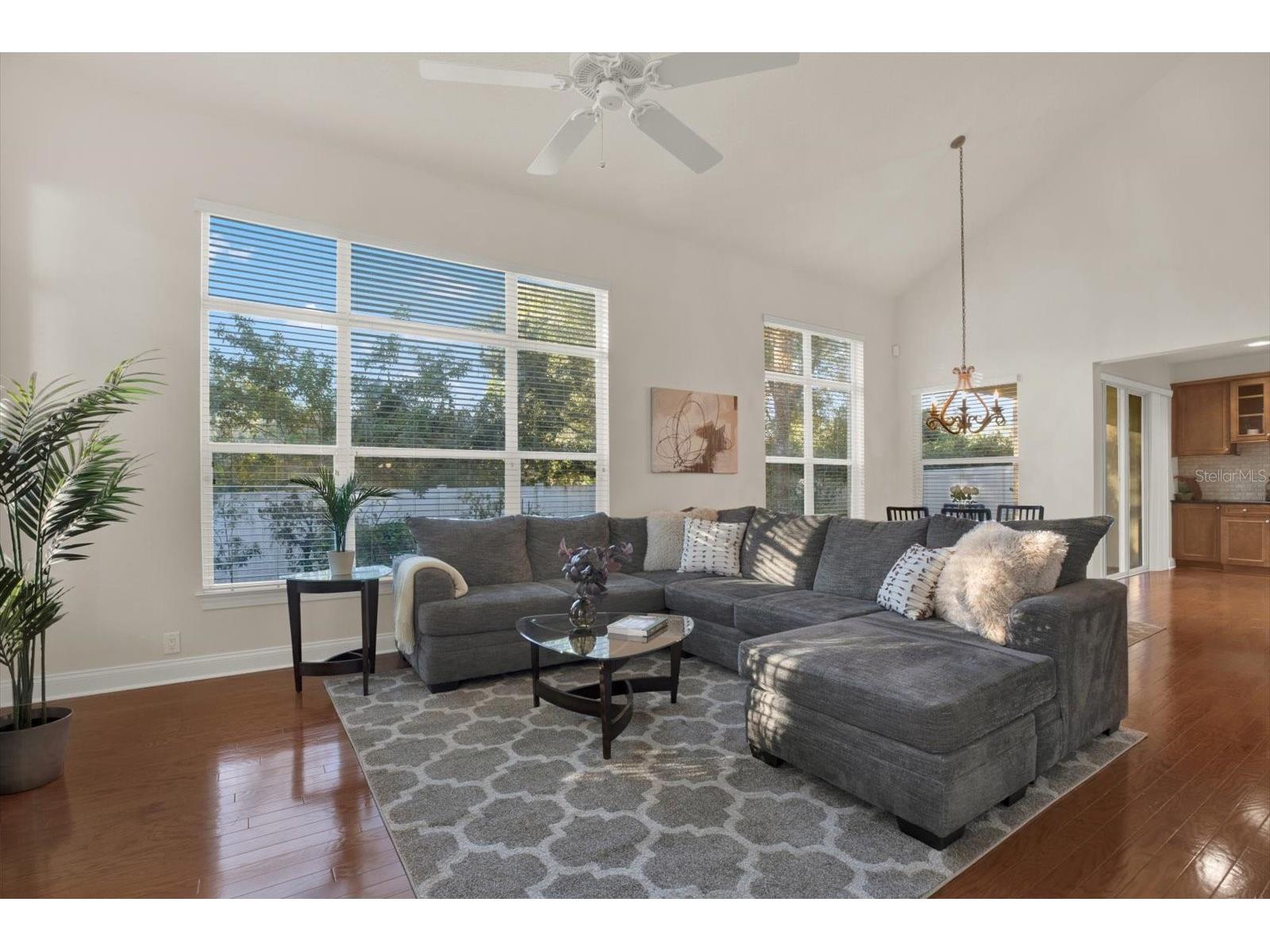 3511 Heards Ferry Drive Tampa FL 33618 - Lake Ellen TB8467617 image5