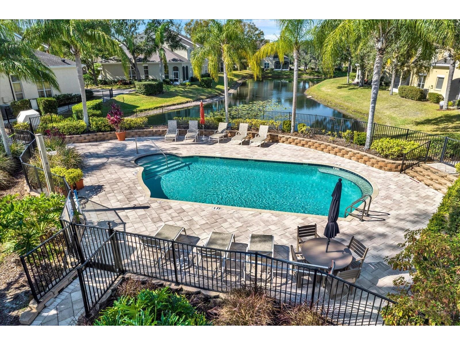 3511 Heards Ferry Drive Tampa FL 33618 - Lake Ellen TB8467617 image55