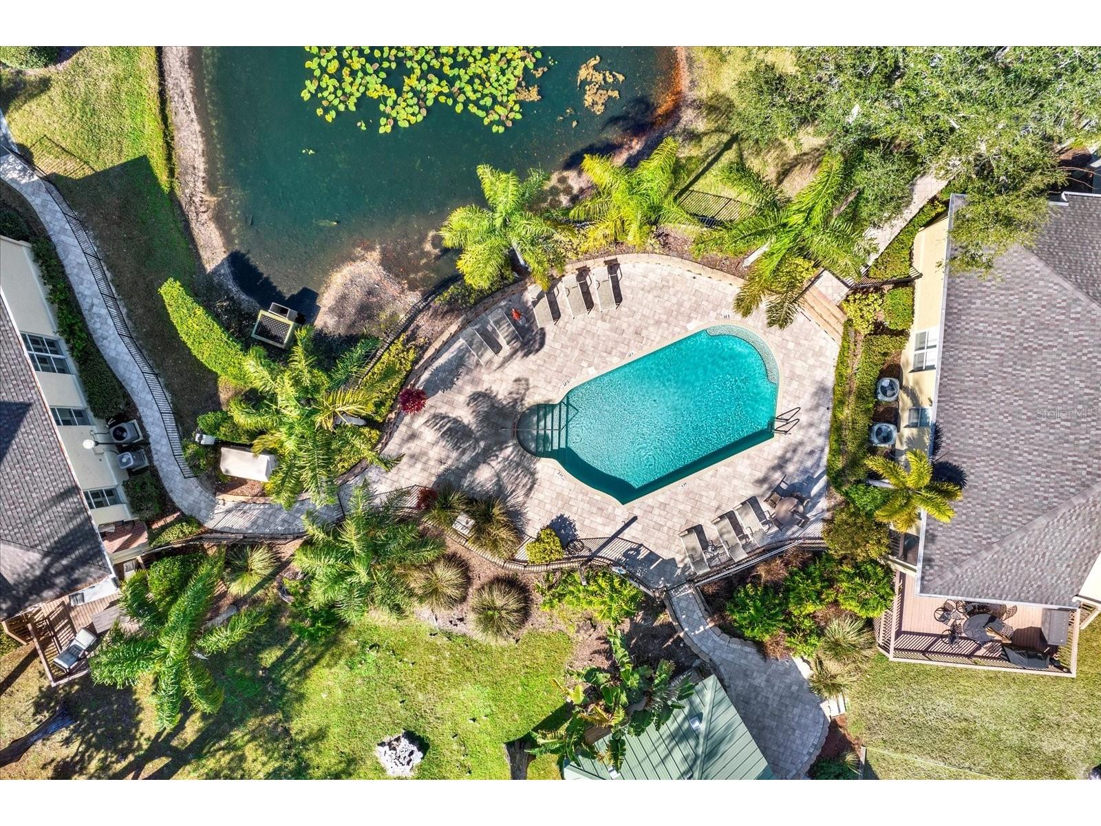 3511 Heards Ferry Drive Tampa FL 33618 - Lake Ellen TB8467617 image56