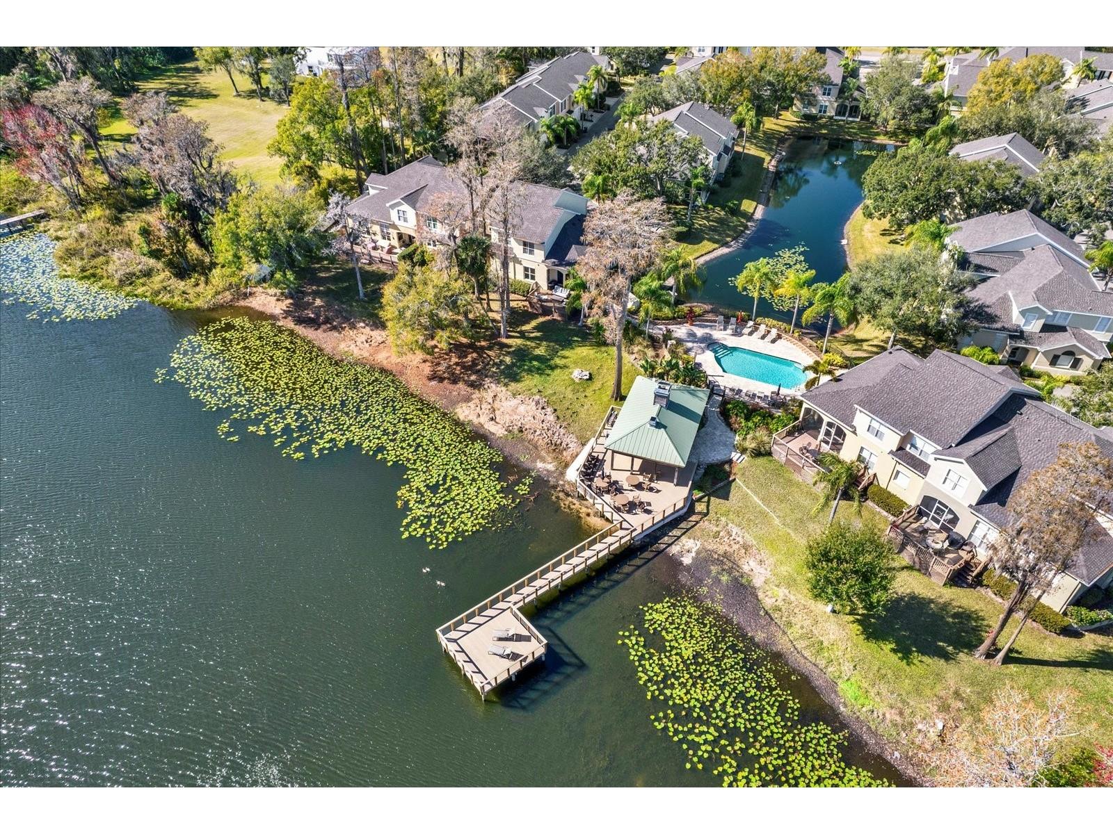 3511 Heards Ferry Drive Tampa FL 33618 - Lake Ellen TB8467617 image61
