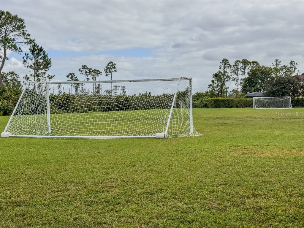 3511 Hollow Oak Run Oviedo FL 32766 O6350808 image59