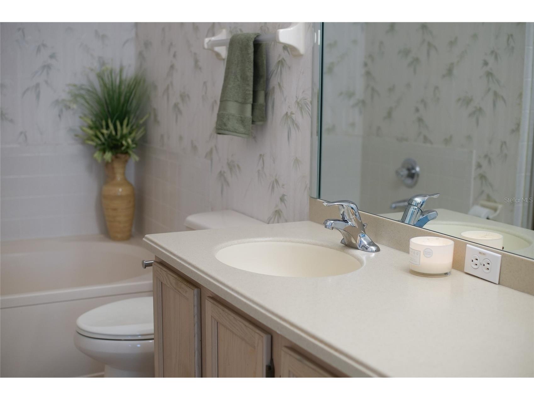 3511 Tealwood Circle Palm Harbor FL 34685 TB8497190 image25