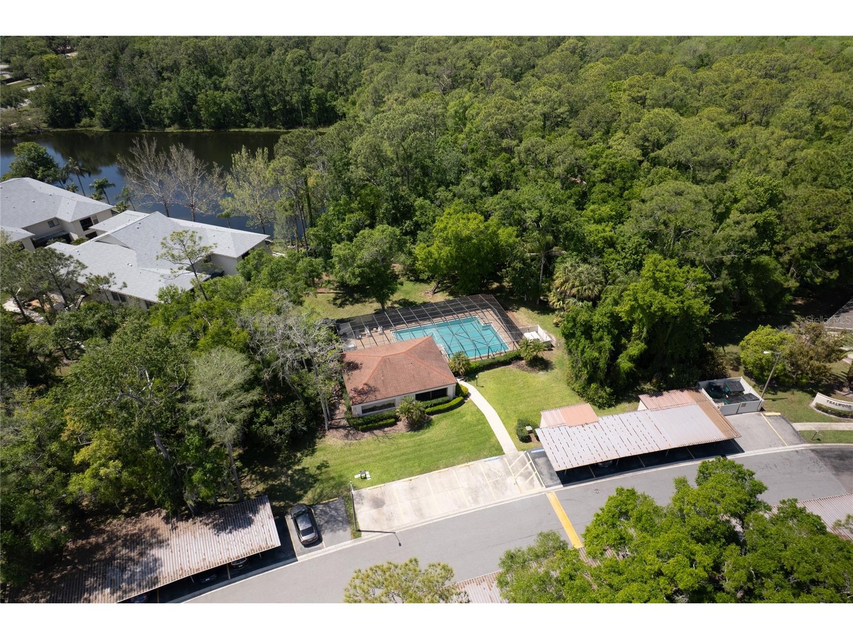 3511 Tealwood Circle Palm Harbor FL 34685 TB8497190 image34