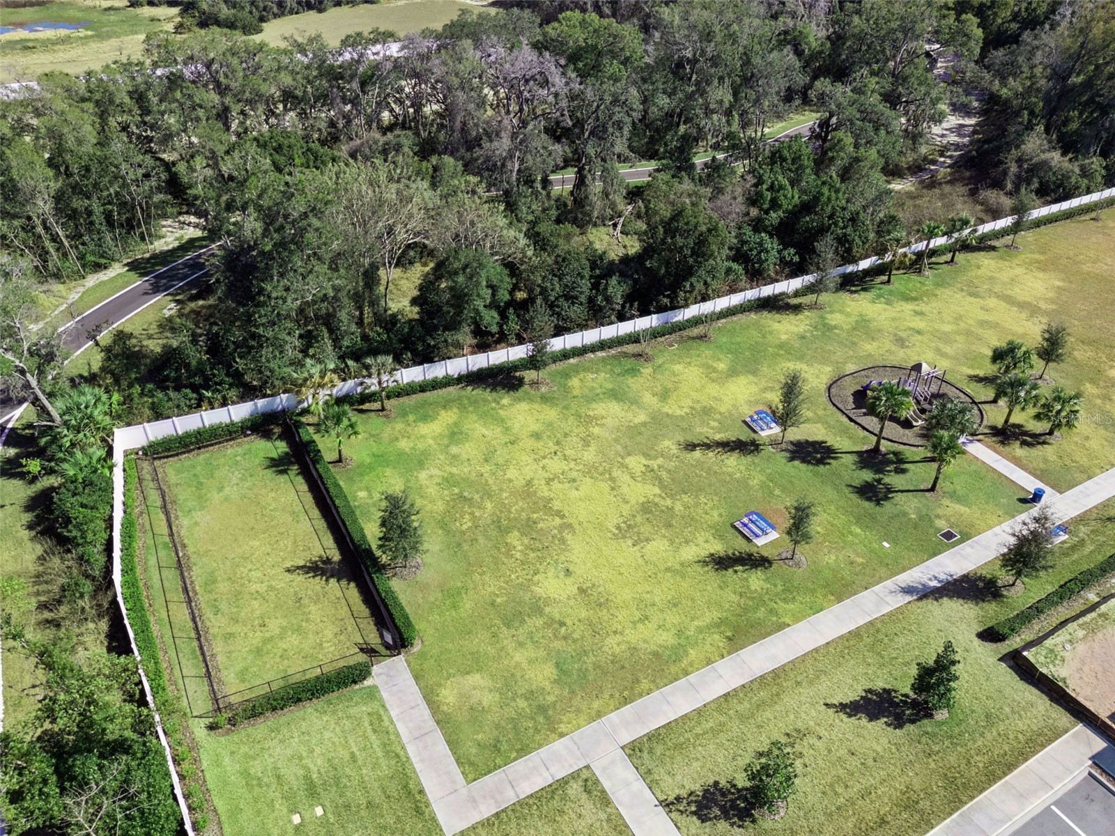 3511 Wye Oak Drive Apopka FL 32703 O6393273 image33