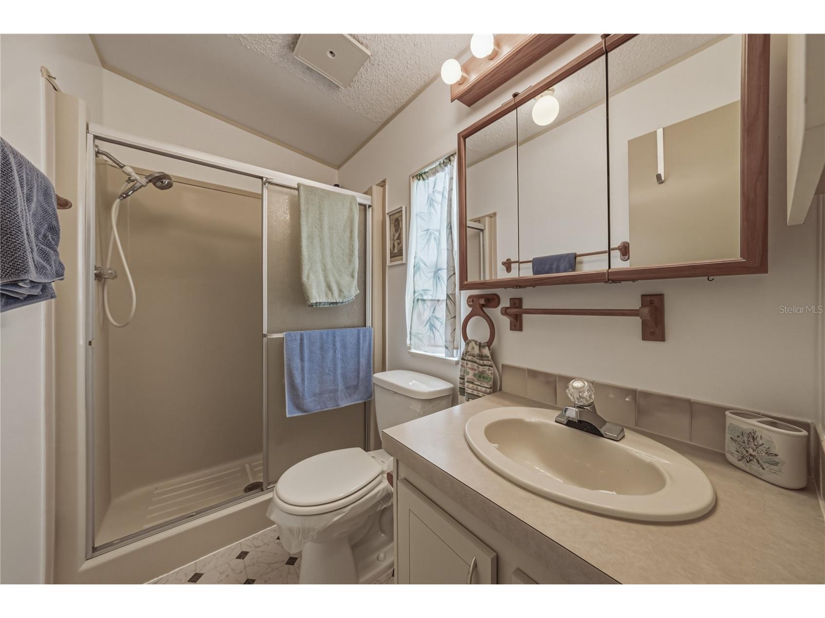 35116 Colony Hills Drive Zephyrhills FL 33541 TB8496704 image22