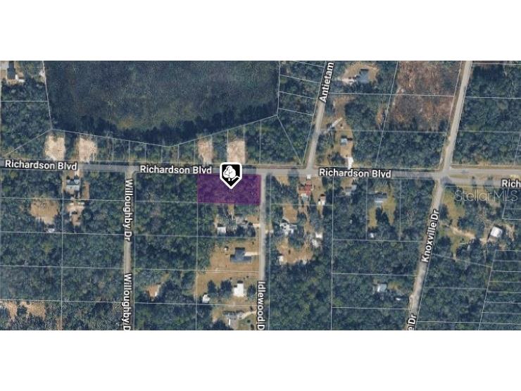 35118 Richardson Boulevard Webster FL 33597 TB8465672 image1