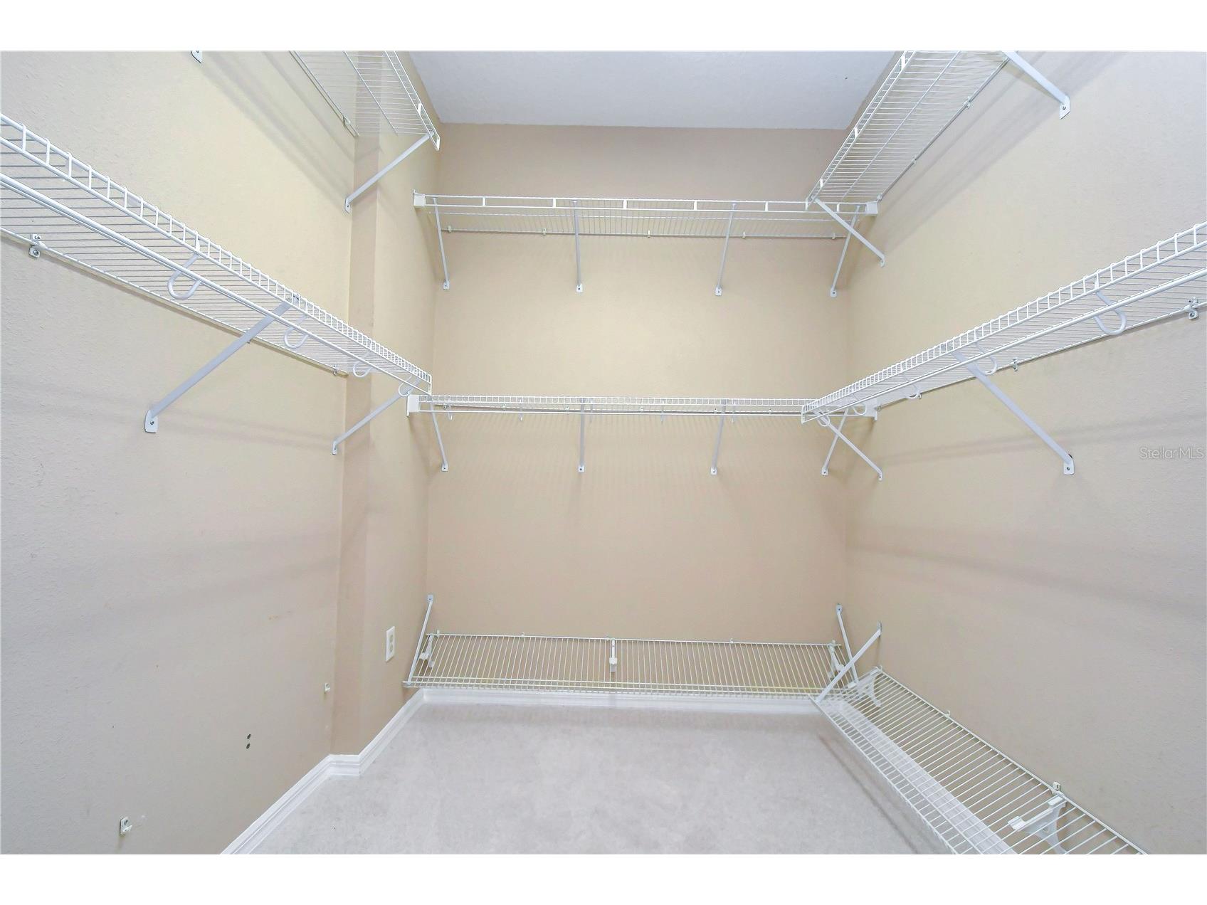 3512 Cordgrass Drive Valrico FL 33596 TB8519743 image21