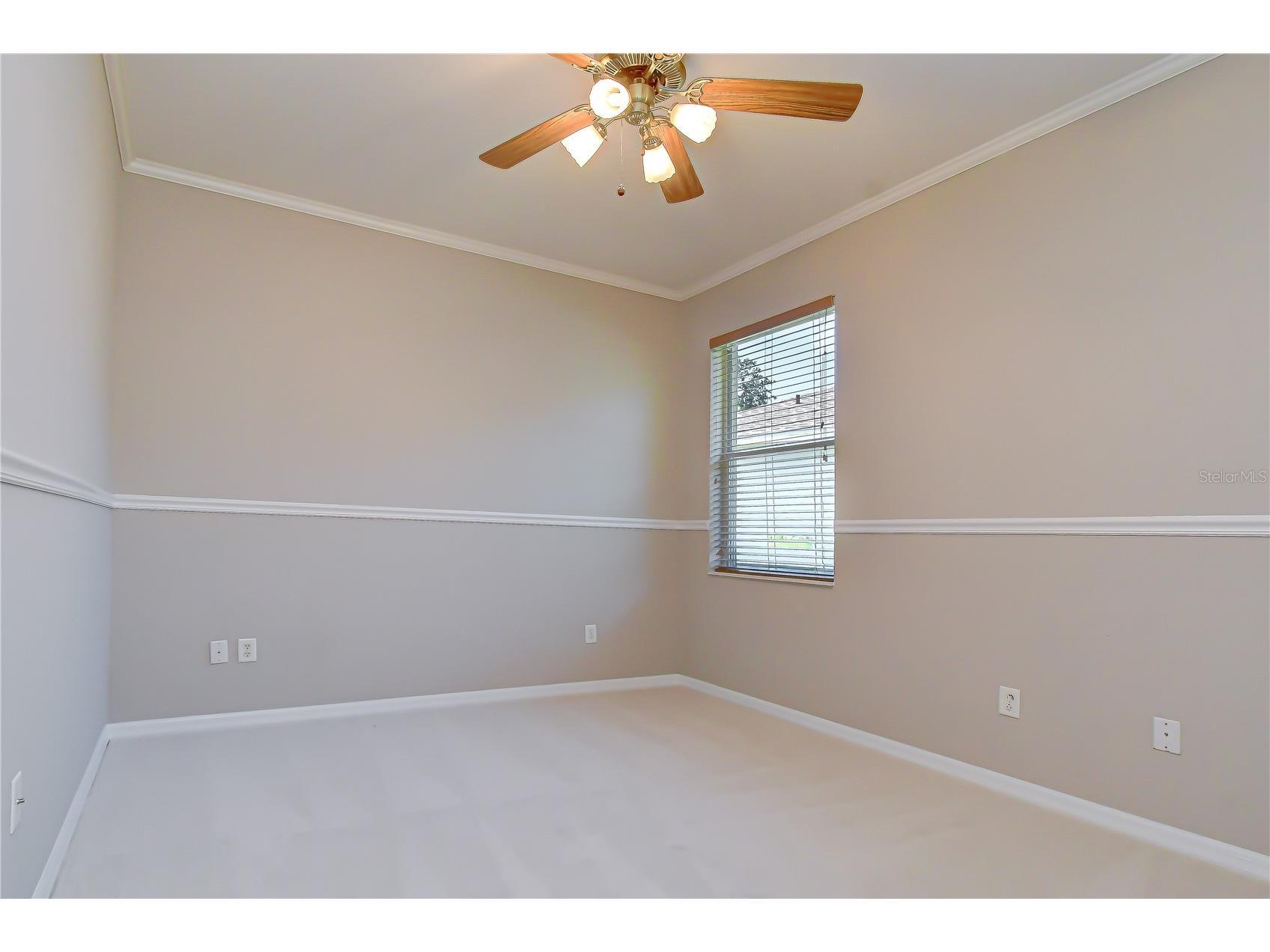 3512 Cordgrass Drive Valrico FL 33596 TB8519743 image25