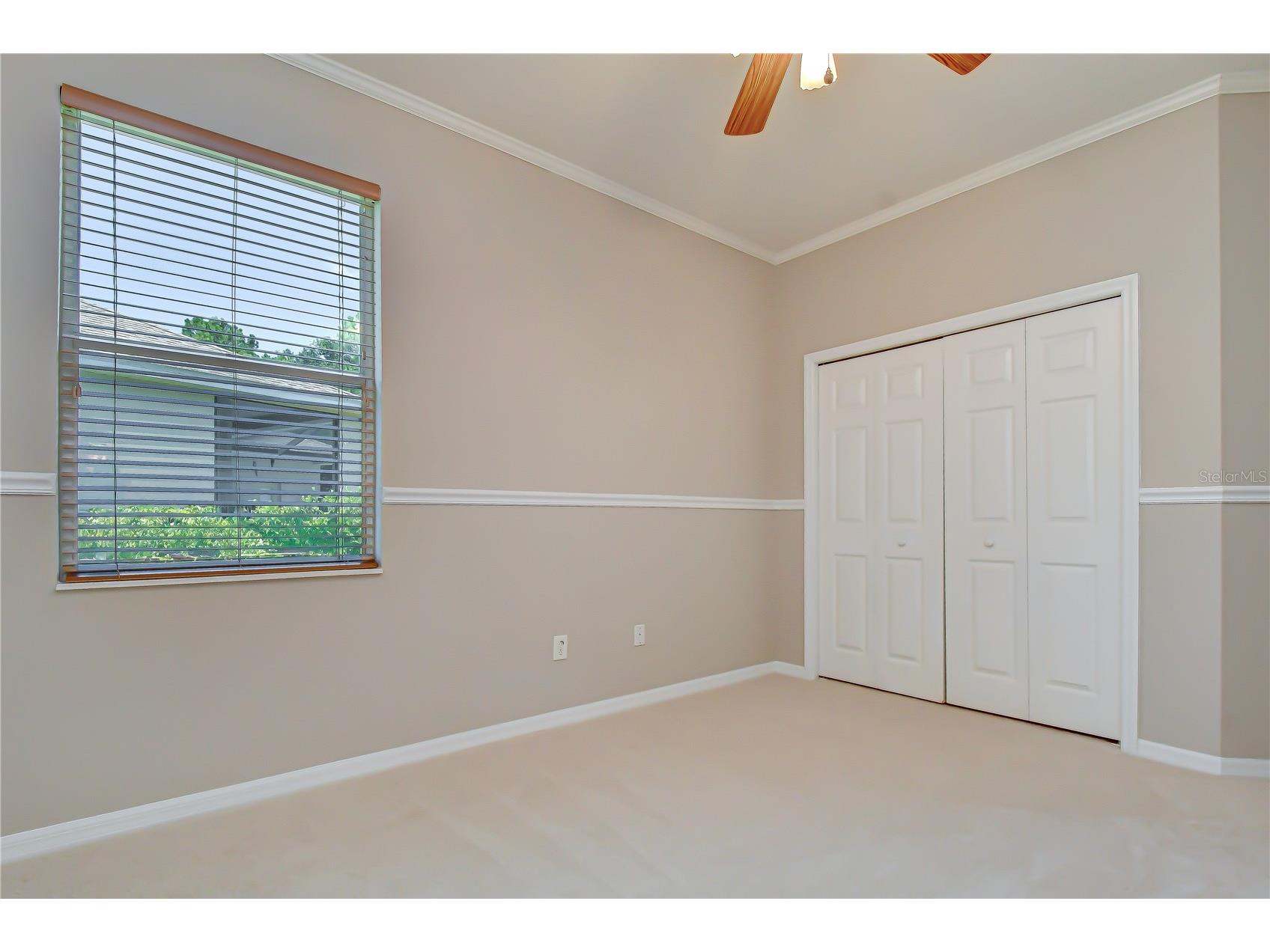 3512 Cordgrass Drive Valrico FL 33596 TB8519743 image27