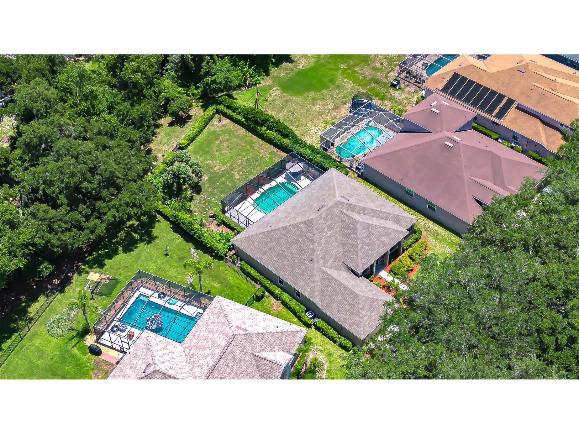 3512 Cordgrass Drive Valrico FL 33596 TB8519743 image42