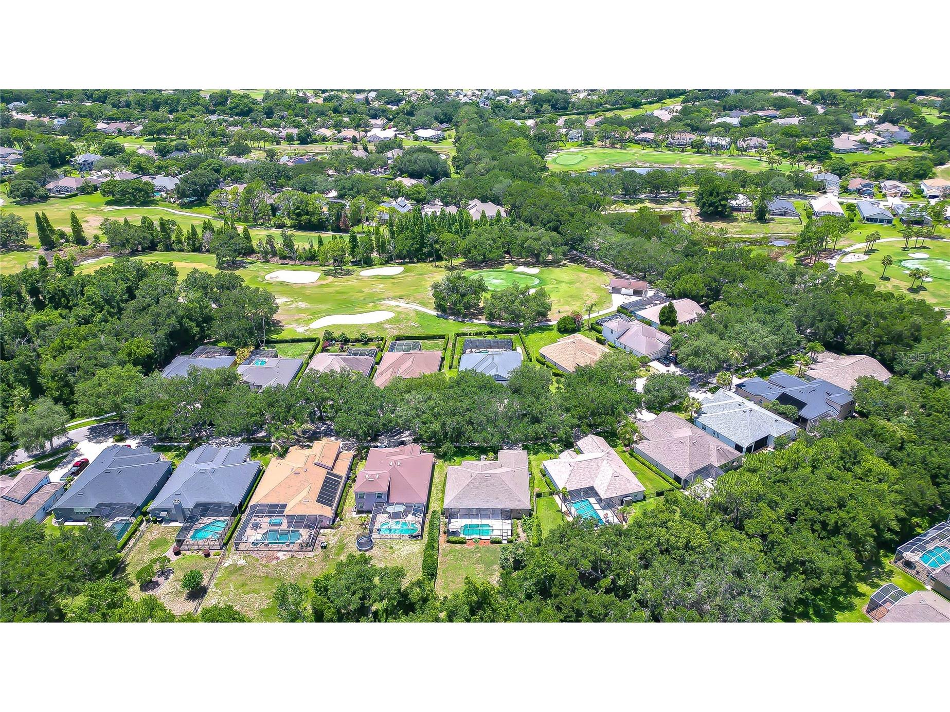 3512 Cordgrass Drive Valrico FL 33596 TB8519743 image43