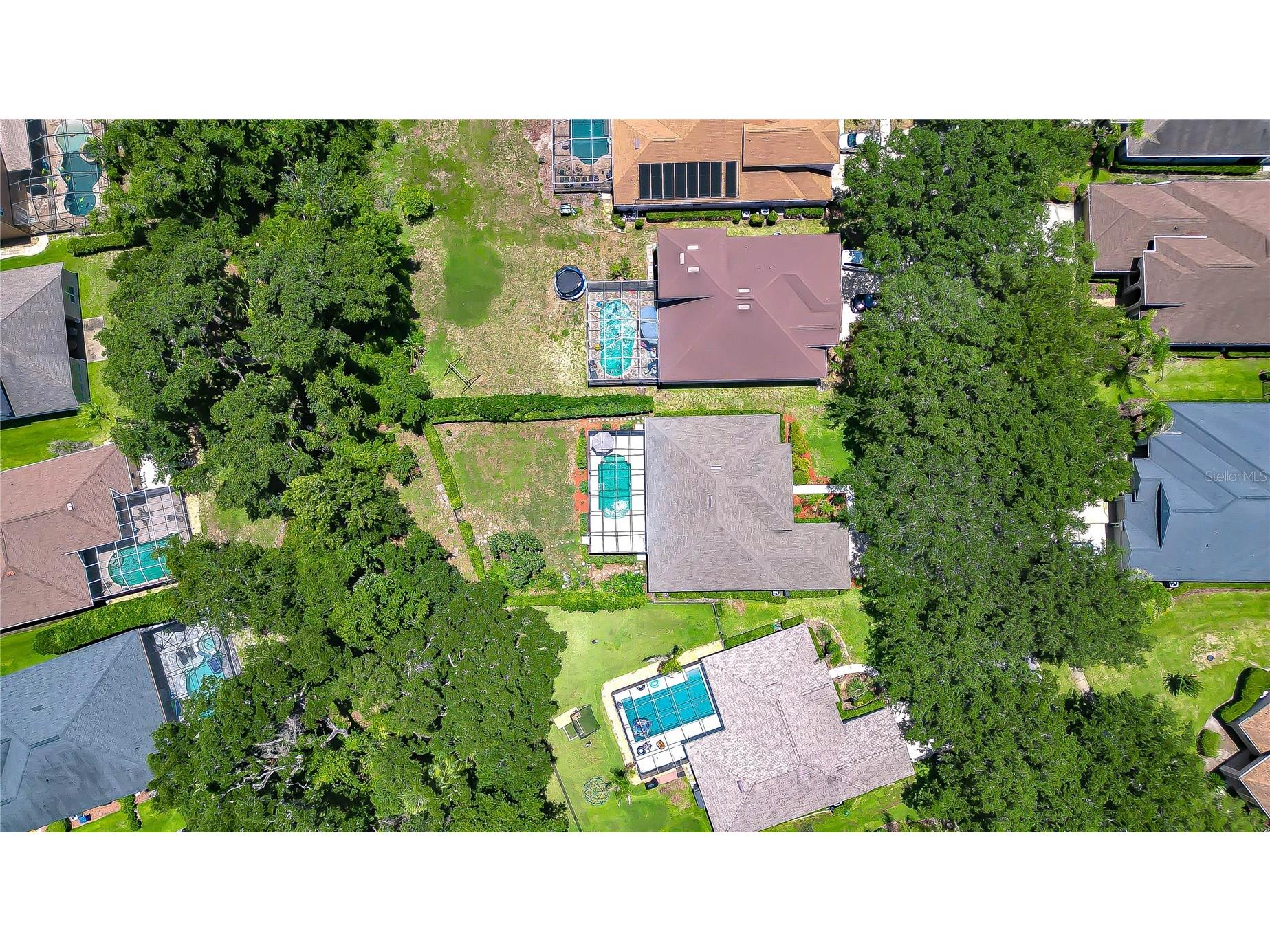 3512 Cordgrass Drive Valrico FL 33596 TB8519743 image44