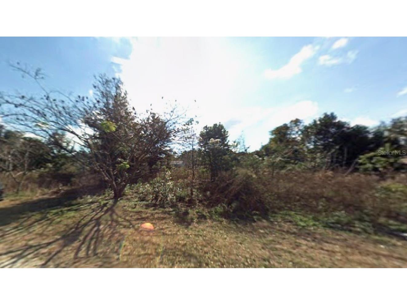 3512 SE 136th Place Summerfield FL 34491 R4910274 image1