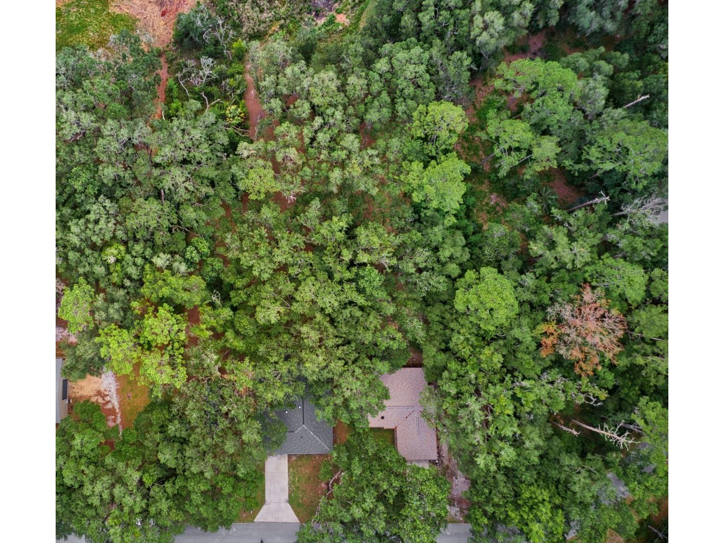 3512 SW Shorewood Drive Dunnellon FL 34431 - LAKE BONABLE OM726663 image10