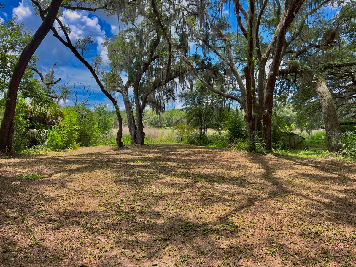 3512 SW Shorewood Drive Dunnellon FL 34431 - LAKE BONABLE OM726663 image56