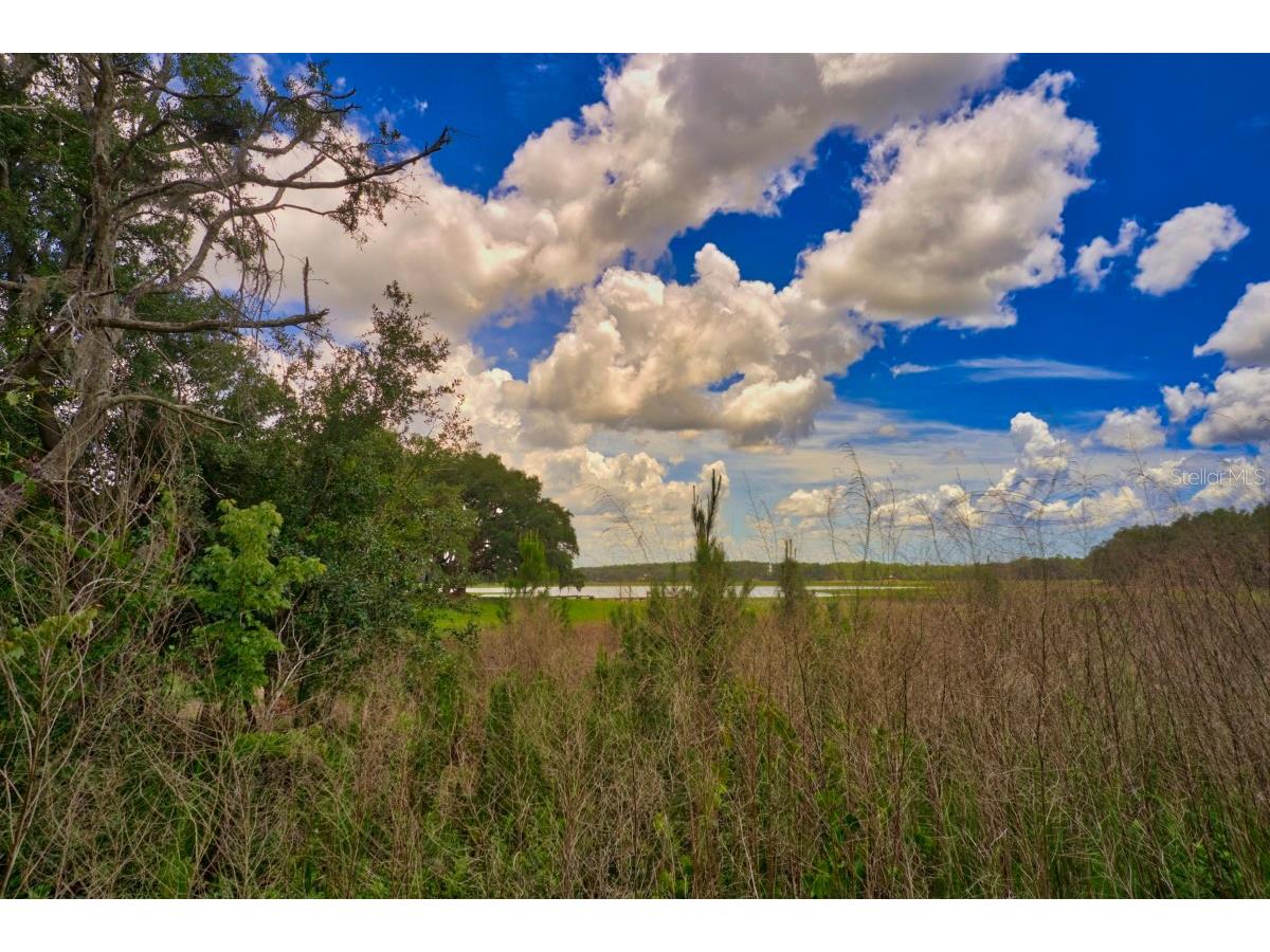 3512 SW Shorewood Drive Dunnellon FL 34431 - LAKE BONABLE OM726663 image58