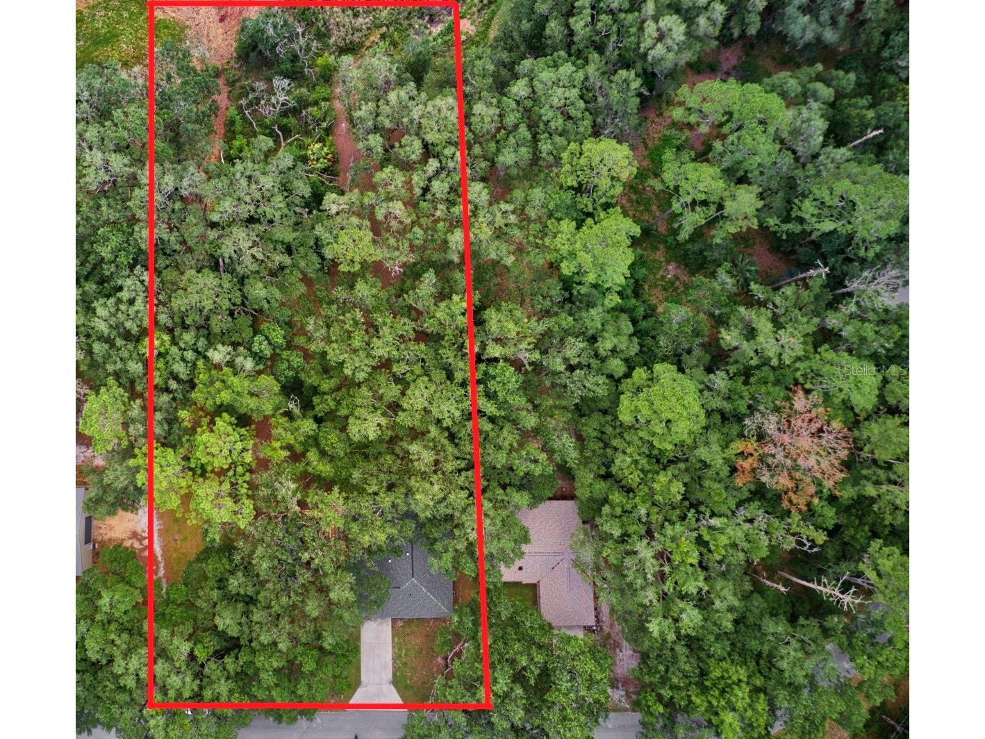 3512 SW Shorewood Drive Dunnellon FL 34431 - LAKE BONABLE OM726663 image65