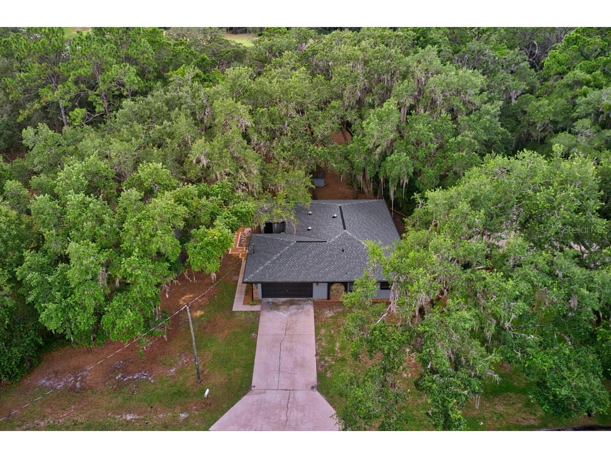 3512 SW Shorewood Drive Dunnellon FL 34431 - LAKE BONABLE OM726663 image9