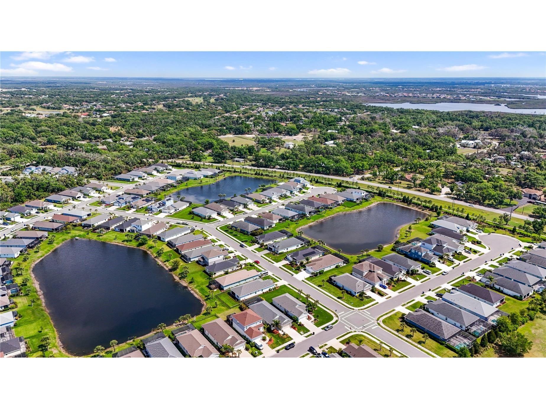 3512 Woodmont Drive Parrish FL 34219 TB8489892 image40