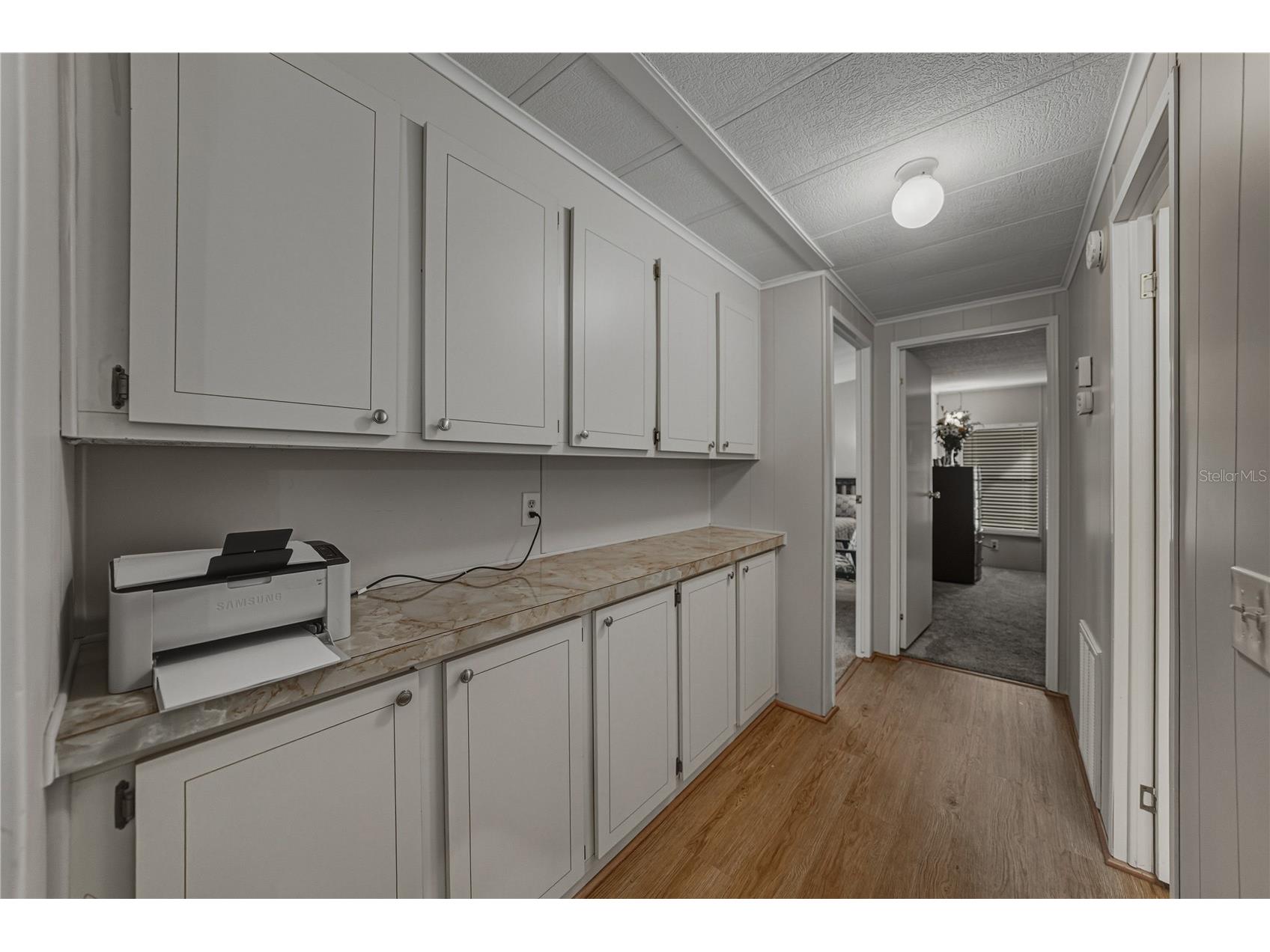 35122 Mcculloughs Leap Zephyrhills FL 33541 TB8459811 image24