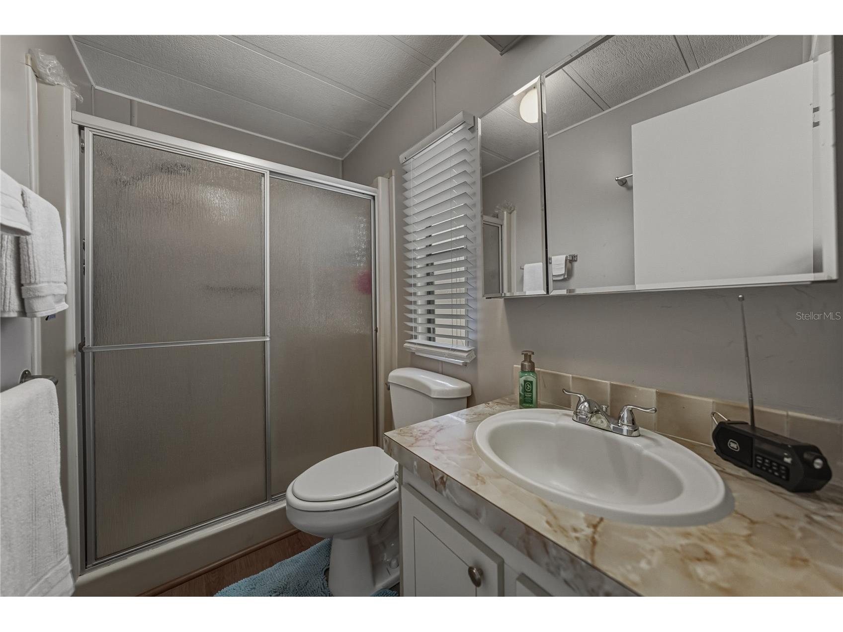 35122 Mcculloughs Leap Zephyrhills FL 33541 TB8459811 image29