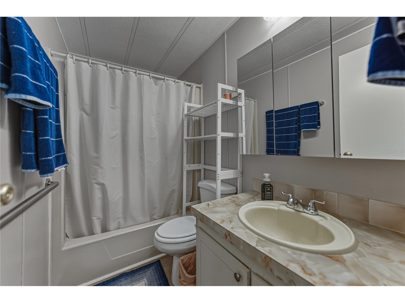 35122 Mcculloughs Leap Zephyrhills FL 33541 TB8459811 image32