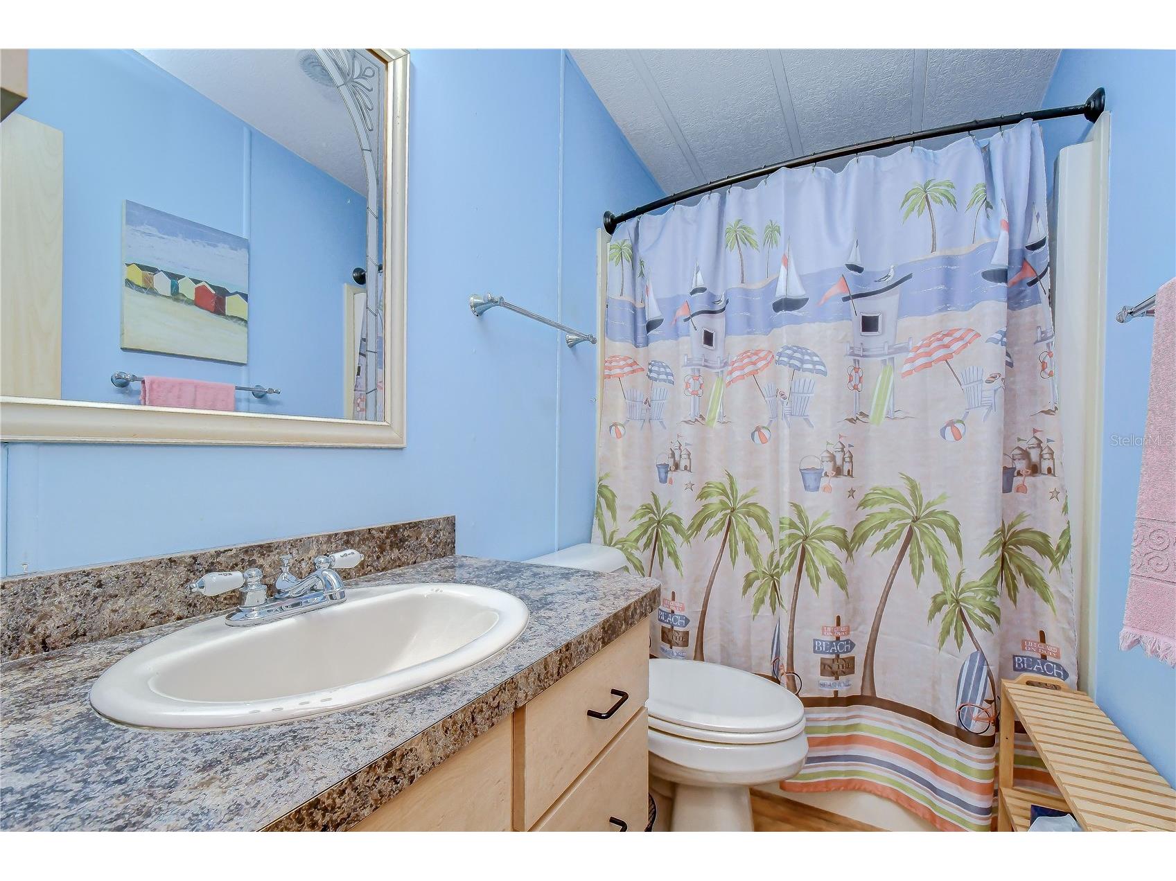 35123 Colony Hills Drive Zephyrhills FL 33541 TB8510220 image37