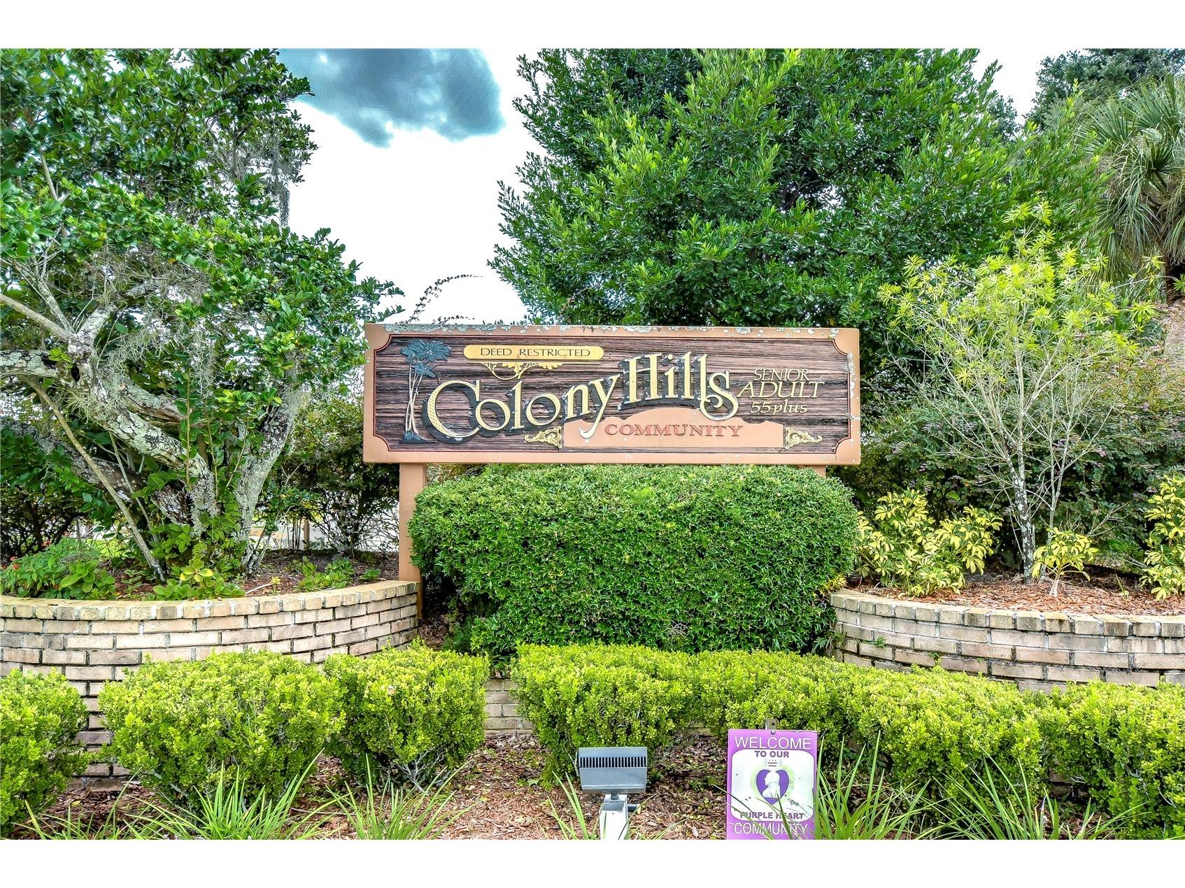 35123 Colony Hills Drive Zephyrhills FL 33541 TB8510220 image44