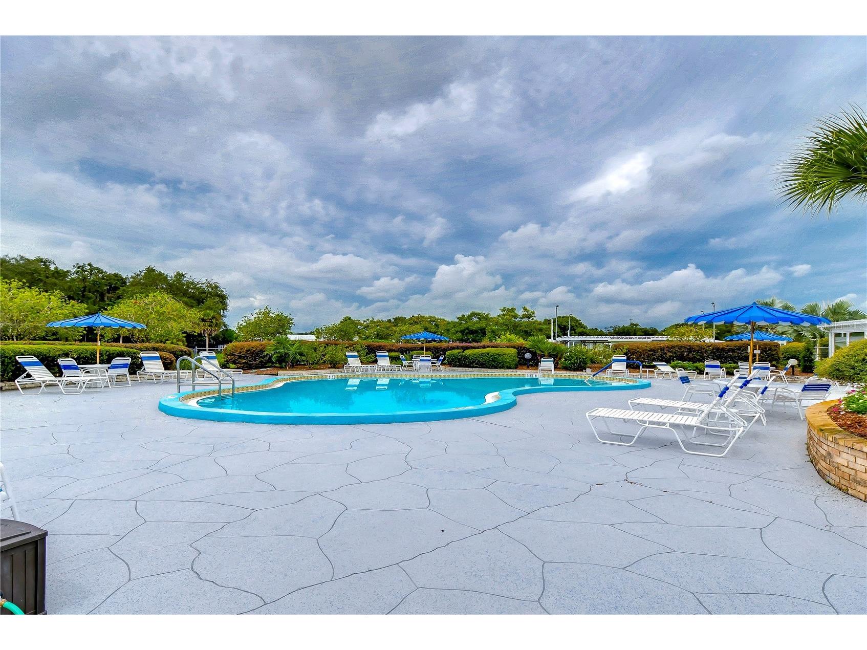 35123 Colony Hills Drive Zephyrhills FL 33541 TB8510220 image48