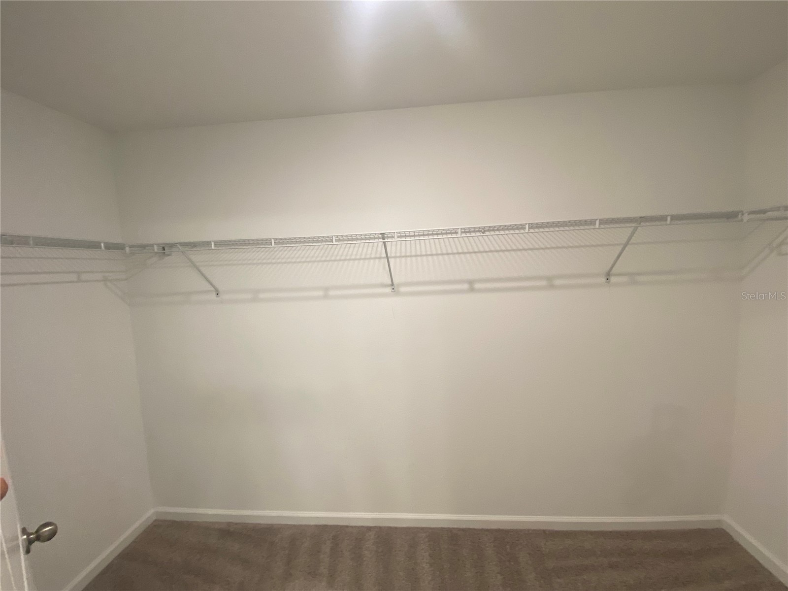 35123 White Water Lily Way Zephyrhills FL 33541 TB8465099 image17