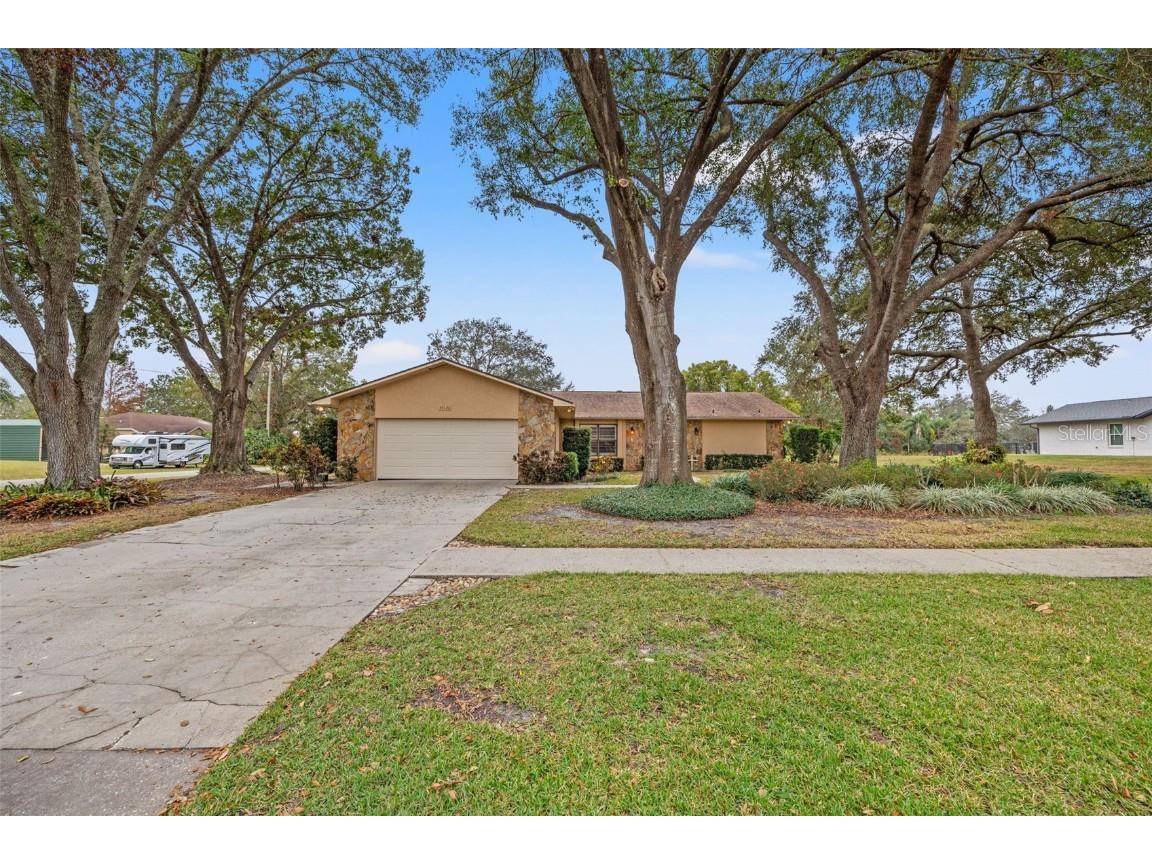35126 Perch Drive Zephyrhills FL 33541 TB8333231 image1