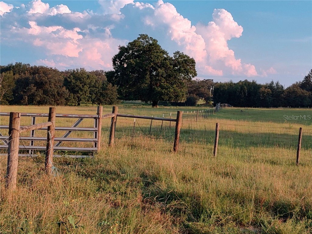 35126 William Lane Eustis FL 32736 G5101068 image66