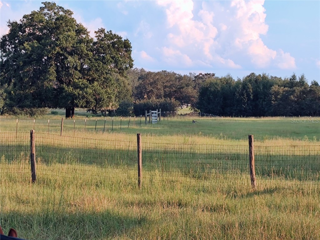 35126 William Lane Eustis FL 32736 G5101068 image67