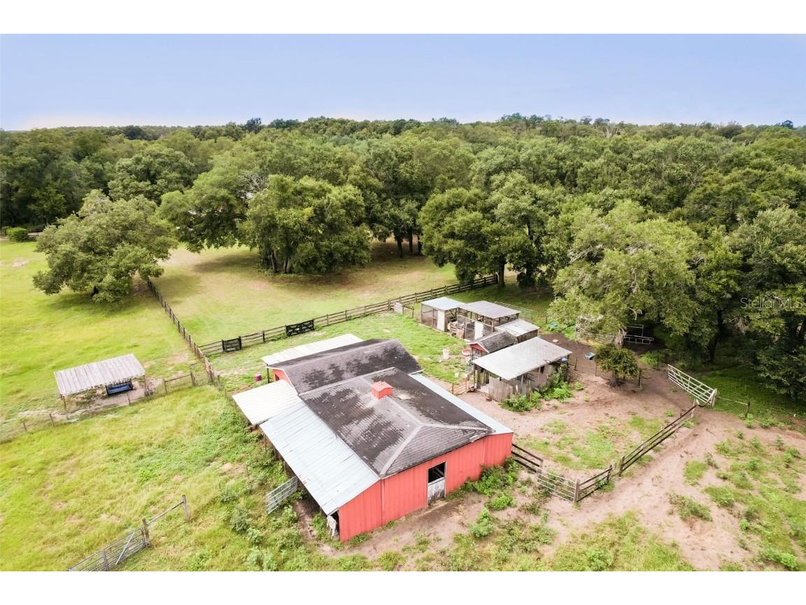 35126 William Lane Eustis FL 32736 G5101068 image68