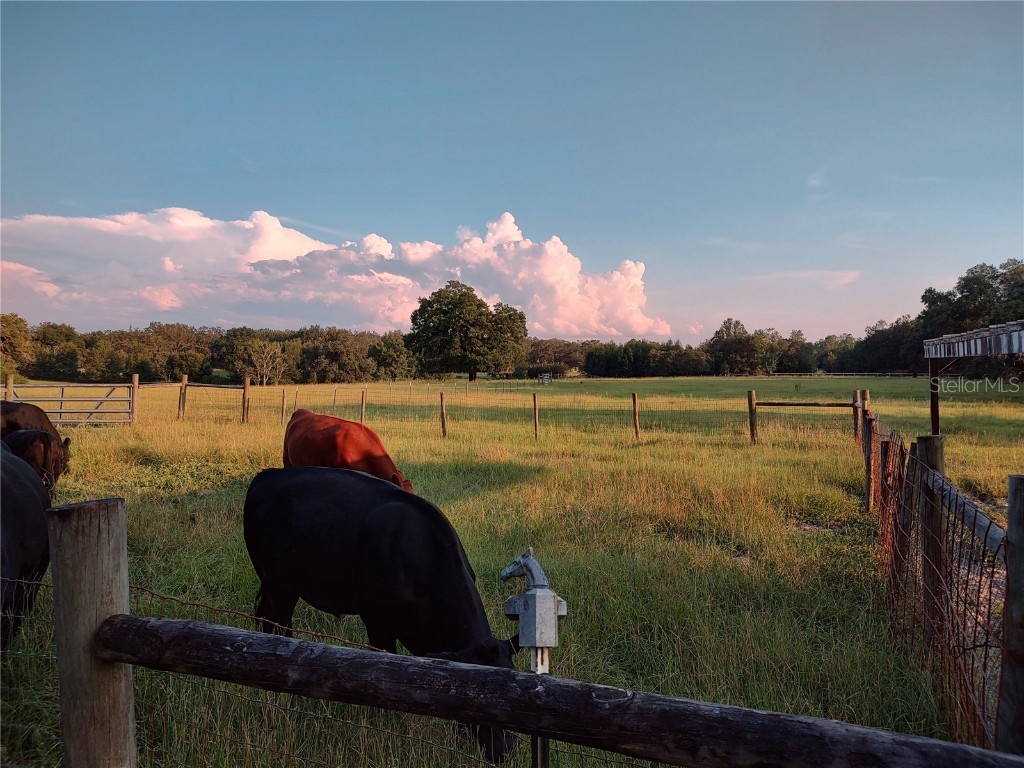 35126 William Lane Eustis FL 32736 G5101068 image71