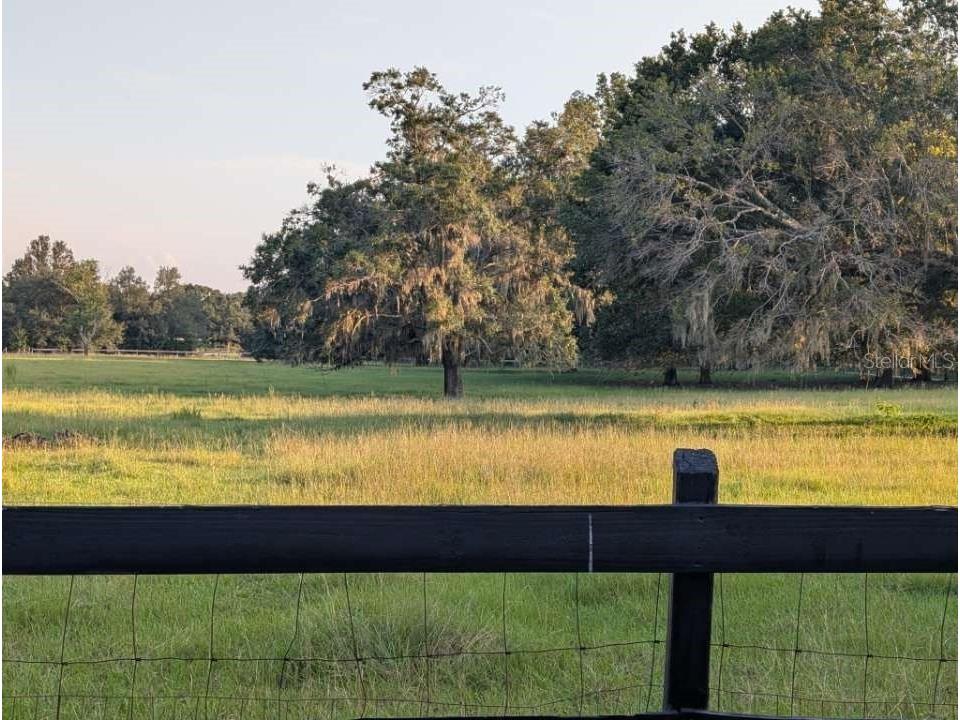 35126 William Lane Eustis FL 32736 G5101068 image75