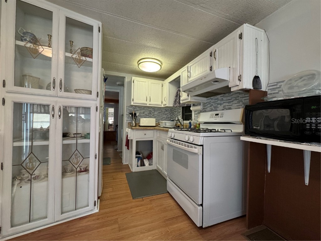 35127 Danny Drive Zephyrhills FL 33541 TB8325749 image10