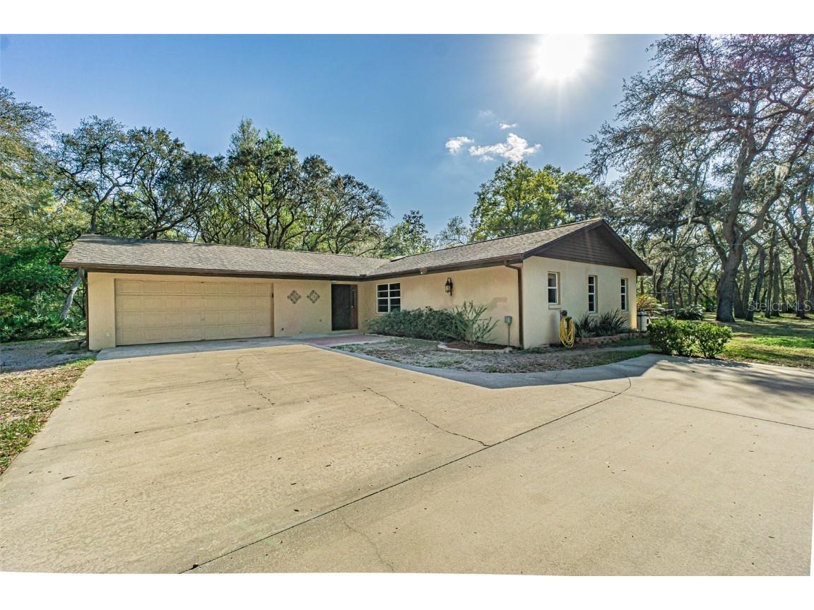 35128 Excalibur Road Webster FL 33597 T3433439 image1