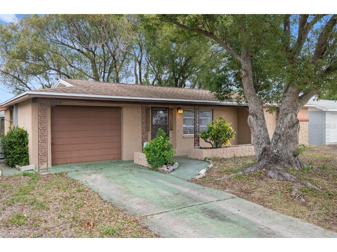 3513 Rosewater Drive Holiday FL 34691 T3496315 image1