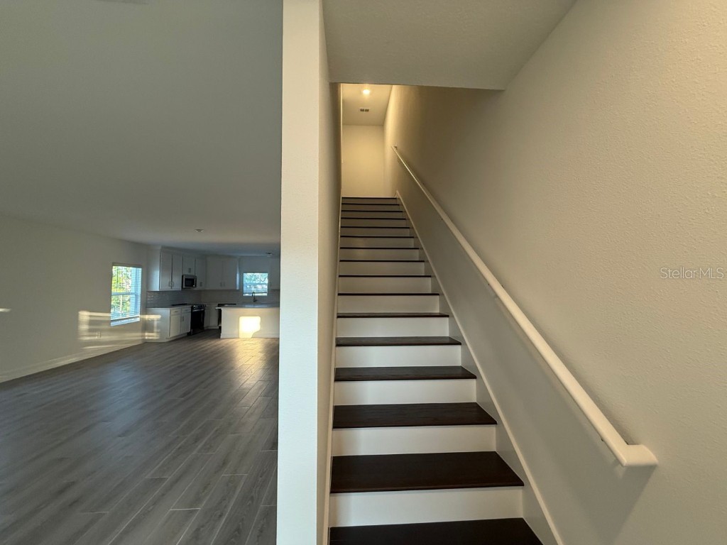 3513 Silent Gardens Cove Wesley Chapel FL 33543 TB8419818 image25