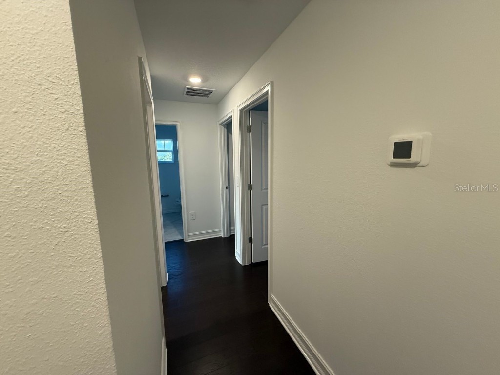 3513 Silent Gardens Cove Wesley Chapel FL 33543 TB8419818 image26